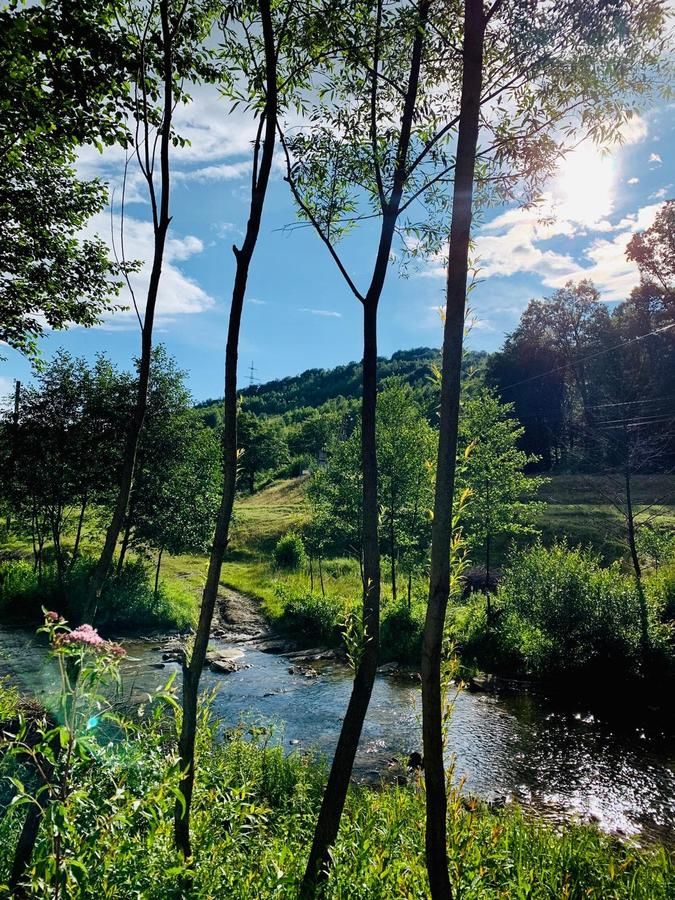 Мини-отель Yankovsky Dvir Поляна-21