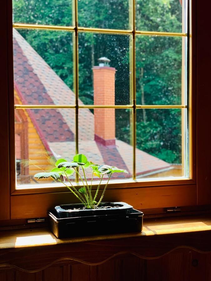 Мини-отель Yankovsky Dvir Поляна-8